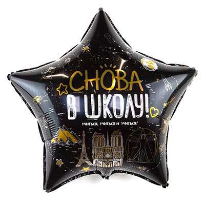 Фольгированный шар «Снова в школу»