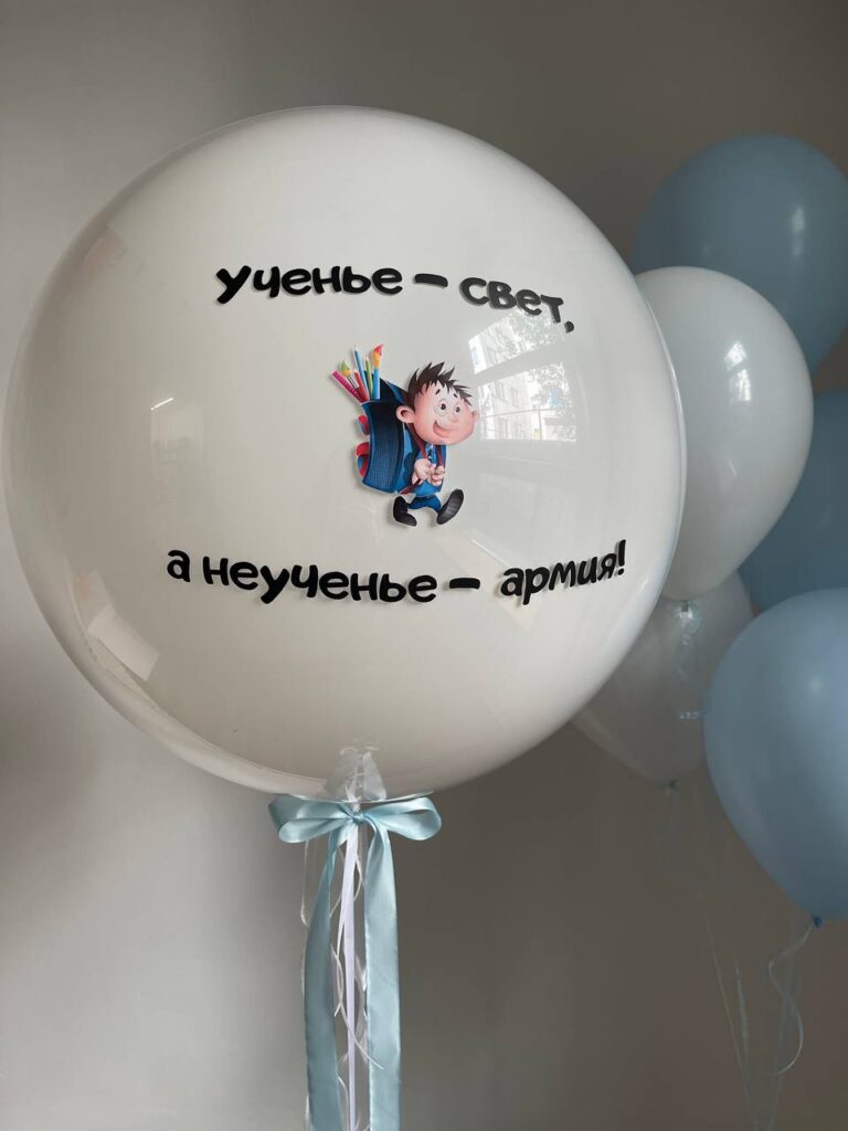 Сет «Неученье - армия»