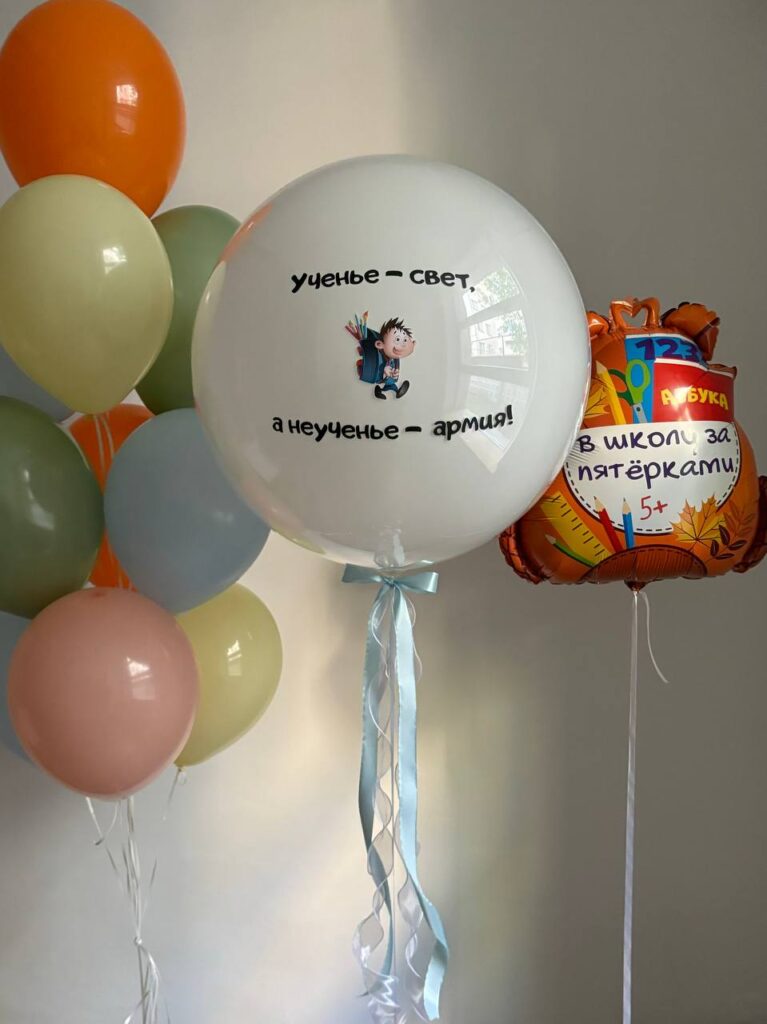 Сет «Ученье - свет»