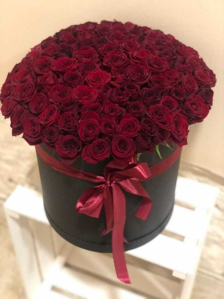 Розы бордовые в шляпной коробке (AirBoxFlowers) модель-1
